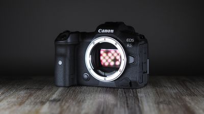 Canon EOS R5 review in 2024: can it still stack up against the EOS R5 Mark II?