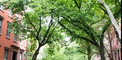 We rated the urban forests of 8 global cities – only Singapore passed the 30% canopy test