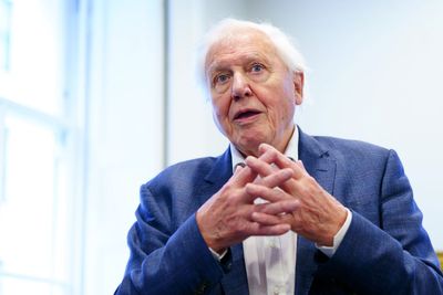 David Attenborough: Documentary maker, 98, 'profoundly disturbed' by AI cloning of his voice