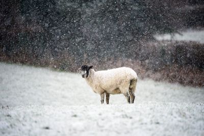 Cold weather payments triggered amid freezing temperatures – check if you’re eligible and when to expect money