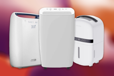 Best dehumidifier deals in January, to help you combat condensation