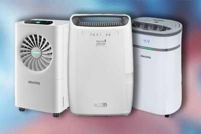 Best dehumidifier deals in November