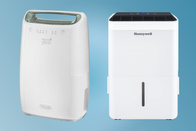 Best dehumidifier deals in October 2025 – save on tried-and-tested models