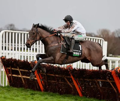 WATCH: Constitution Hill Newbury Gallop