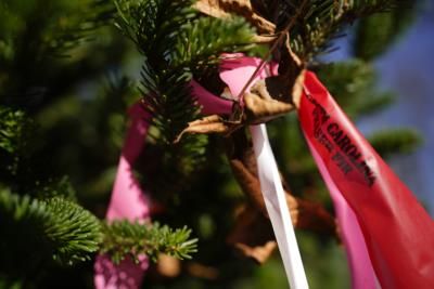 Cartner's Christmas Tree Farm Overcomes Hurricane To Deliver Hope