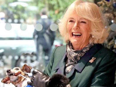 Voices: I know how Queen Camilla feels – losing my dog was harder than losing a loved one