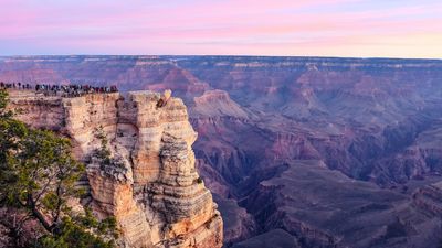 National park may soon make a key service more expensive