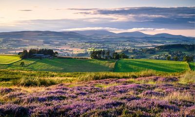 England’s national parks facing financial peril due to budget cuts, say CEOs