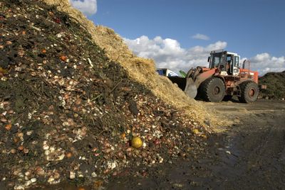 Food waste is full of surprisingly low-hanging fruits to help tackle climate change, a growing body of evidence shows