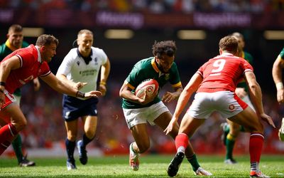 South Africa team news: Hendrikse brothers handed starts against Wales as Springboks side revealed