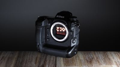 Nikon Z9 review in 2024: Nikon's flagship pro camera keeps on getting better