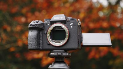 Sony A1 II review – a refined flagship