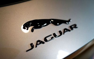 Internet Mocks Jaguar's "Fearless" Rebrand: 'This Is So Unhinged'