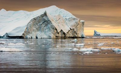 Plantwatch: Arctic microalgae perform photosynthesis in near darkness