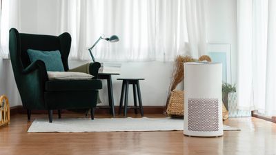 This is the best place to put an air purifier, according to experts