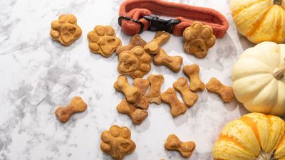 3 quick and easy DIY Thanksgiving dog treats... and number 3 is our favorite!