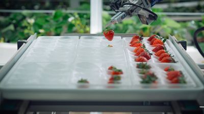 Exclusive: Oishii, vertical farming startup, closes its Series B at $150 million