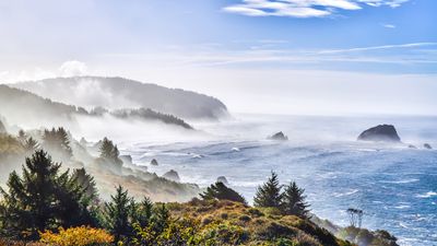 "Avoid the temptation to cross landslides" – Lost Coast Trail hikers derailed by mud and debris as bomb cyclone arrives in northwest