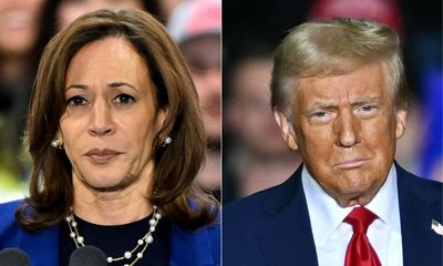 Democrats accuse Harris campaign of ‘malpractice’ for silence on Trump’s transgender attacks