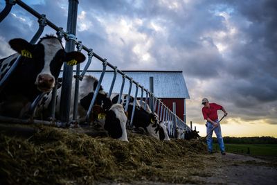 GOP control could doom Farm Bill passage
