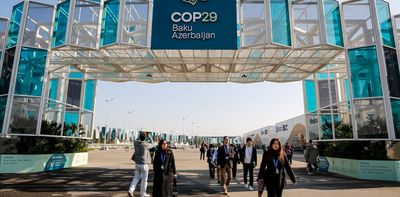 Cop29 so far: the good and bad news