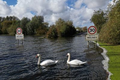 Rivers and bogs tamed for centuries at risk of returning to North Sea, MP fears