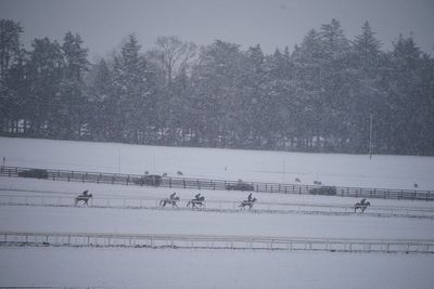 Weather warnings in place as cold snap grips Ireland