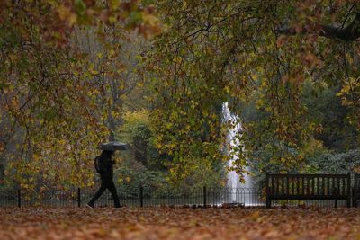 More than one in four premature deaths in UK ‘will be due to cancer by 2050’