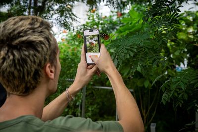 Canada AI Project Hopes To Help Reverse Mass Insect Extinction