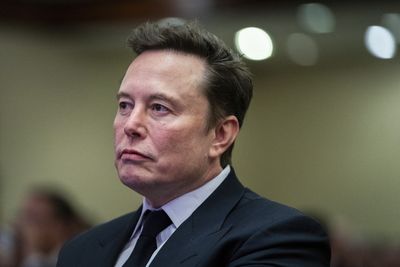 Musk, Ramaswamy outline ‘drastic’ cuts as US gov’t efficiency tsars