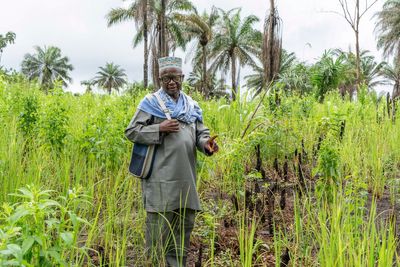 Sierra Leone loves rice and wants to free itself from imports. But how to do it?