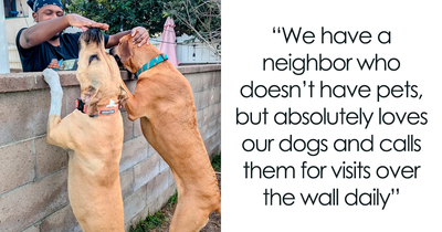 80 Wholesome Neighbors That Singlehandedly Restored These People’s Faith In Humanity (New Pics)