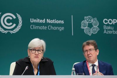 UK calls for strong stance on fossil fuel phase out amid major split at Cop29