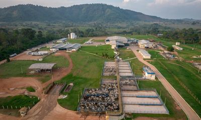 Hundreds of lobbyists for industrial farming attend Cop29 climate summit