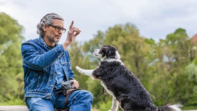 This is why you should give your dog choices when training them, according to an expert