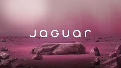 ‘It completely misunderstands what a brand is’: A branding expert weighs in on Jaguar’s controversial new look