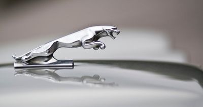 ‘Killed a British icon’: Jaguar’s modernist rebrand sparks anger and mockery online