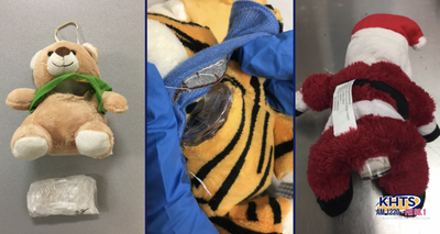 California Man Who Distributed Drugs In Stuffed Animals Sentenced to Years in Federal Prison