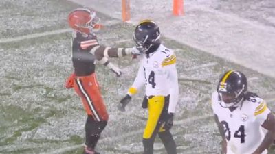 Browns Safety Flagged for Chucking George Pickens's Mouthguard on Snowy Field