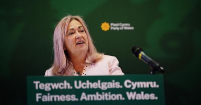 Plaid Cymru demands for Welsh powers on par with Scotland 'dismissed'