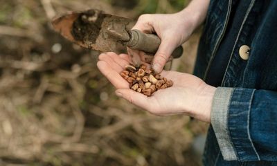 ‘It’s like a secret’: why do the leguminati want to change the way we eat?