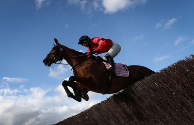 Haydock tips & Betfair Chase prediction: Ahoy Senor may enjoy Merseyside test