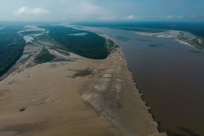 UK pledges £239m to forest-rich nations to fight climate change at Cop29