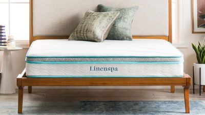 Linenspa Memory Foam Hybrid Mattress review