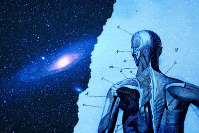 Wanna escape Earth? Too bad space sucks