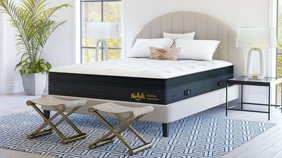 Nolah Evolution 15 mattress review 2025