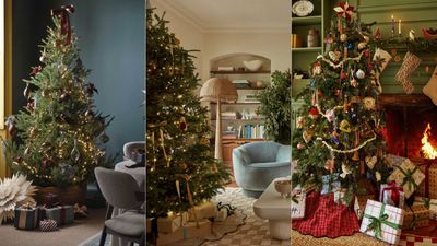 How to make the base of your Christmas tree actually look nice ahead of the great 'treekend' – according to professionals