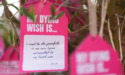 What are the key issues in the assisted dying bill debate?