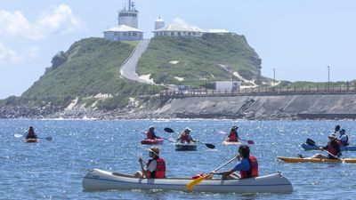 Three charged after activists disrupt coal ships