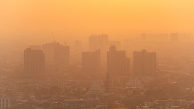 6 symptoms of poor air quality